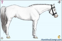 Horse Color:White Spotted Liver Red Roan Appaloosa 