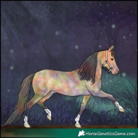 Horse Color:Nacre Buckskin Dun 