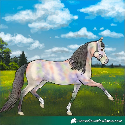 Horse Color:Nacre Buckskin Dun