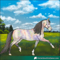 Horse Color:Nacre Buckskin Dun 