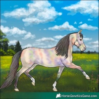Horse Color:Nacre Buckskin Dun 