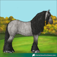 Horse Color:Grullo Roan and Gray Grullo Roan