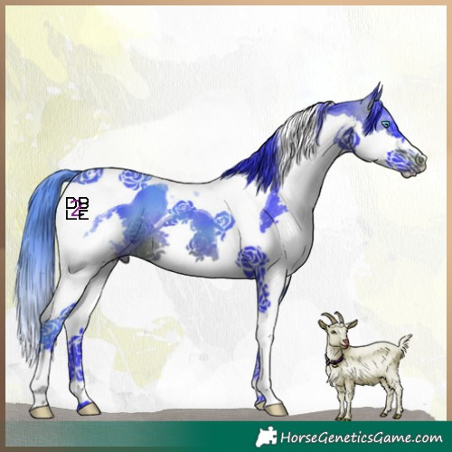 Horse Color:Watercolor Brown Splash Tobiano 