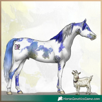 Horse Color:Watercolor Brown Splash Tobiano