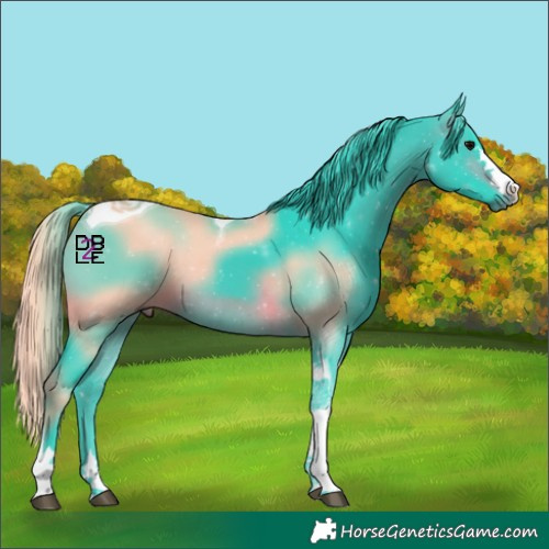 Horse Color:Watercolor Brown Tobiano 