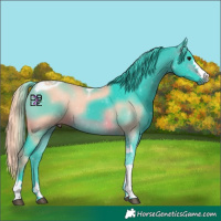 Horse Color:Watercolor Brown Tobiano 