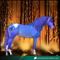 Horse Color:Watercolor Bay Tobiano Varnish 