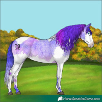Horse Color:Watercolor Brown Roan Splash Tobiano 