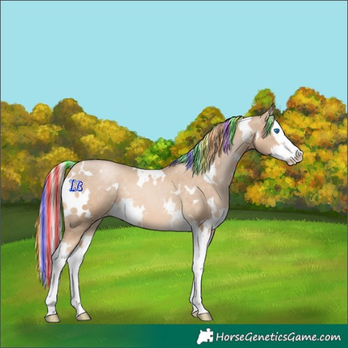 Horse Color:Painted White Spotted Chocolate Palomino Pearl Splash