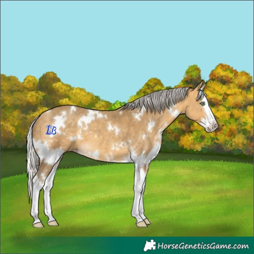 Horse Color:White Spotted Silver Sable Cream Champagne Splash