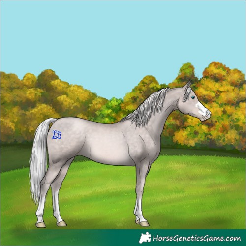Horse Color:Platinum Chocolate Palomino Pearl