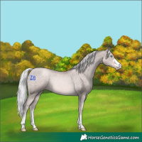 Horse Color:Platinum Chocolate Palomino Pearl 