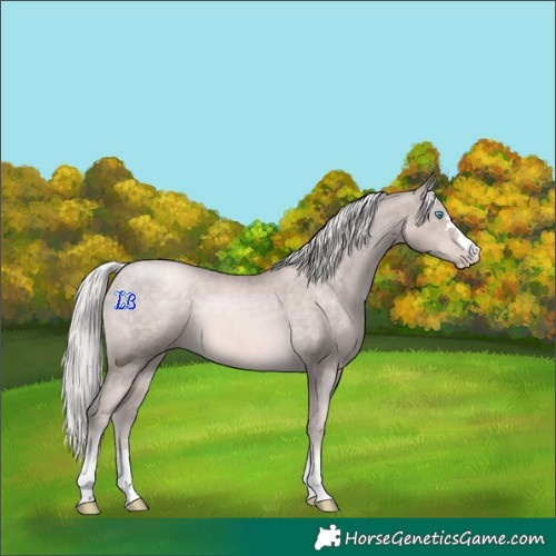 Horse Color:Platinum Chocolate Palomino Pearl 