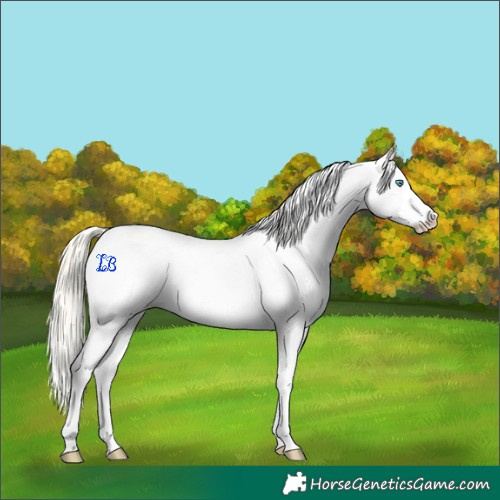 Horse Color:White Spotted Perlino Dun Splash