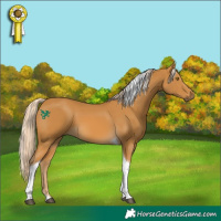 Horse Color:Palomino Tobiano 