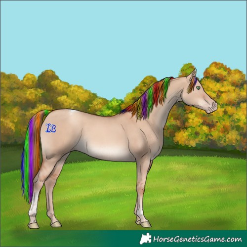 Horse Color:Painted Gold Champagne Dun Tobiano 