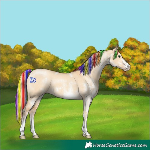 Horse Color:Painted White Spotted Gold Cream Champagne Dun 