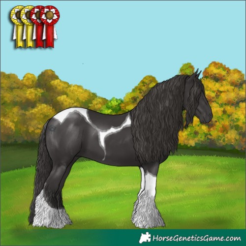 Horse Color:Smoky Black Tobiano 
