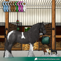 Horse Color:Smoky Black Tobiano 