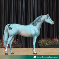 Horse Color:Watercolor Brown Tobiano Appaloosa 