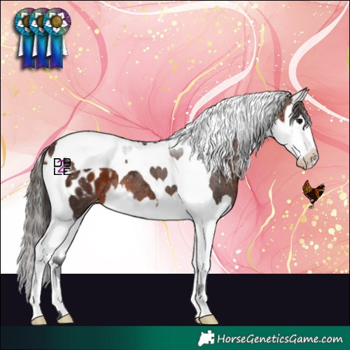 Horse Color:Brown Splash Tobiano Blanket 
