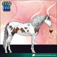 Horse Color:Brown Splash Tobiano Blanket 