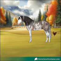 Horse Color:Brown Sabino Splash 