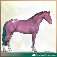 Horse Color:Platinum Painted White Spotted Amber Champagne Appaloosa Rabicano 