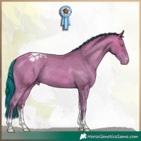 Horse Color:Platinum Painted White Spotted Amber Champagne Appaloosa Rabicano