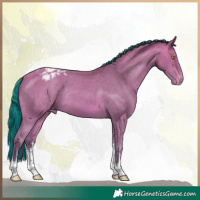 Horse Color:Platinum Painted White Spotted Amber Champagne Appaloosa Rabicano 