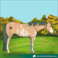 Horse Color:Platinum Painted Amber Champagne Sabino