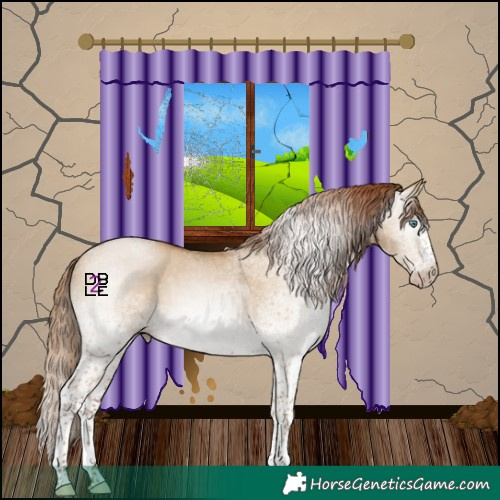 Horse Color:Gray White Spotted Smoky Grullo Pearl Splash 