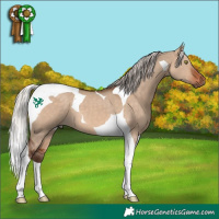 Horse Color:Silver Bay Dun Tobiano