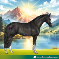 Horse Color:Midnight Blue Onyx Ice Rabicano