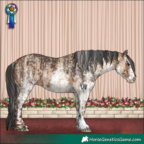 Horse Color:Silver Bay Dun Rabicano  and White Spotted Brown Rabicano 