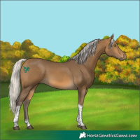 Horse Color:Silver Buckskin Tobiano 