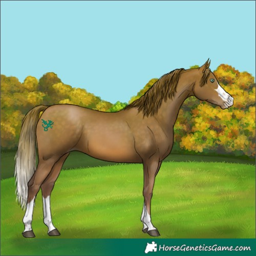 Horse Color:Brown Pearl 