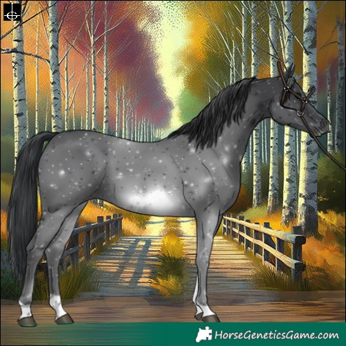 Horse Color:Black Tobiano 