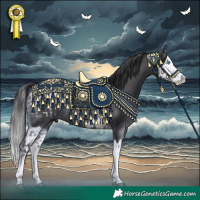 Horse Color:Black Splash Appaloosa Rabicano and Black Splash Rabicano