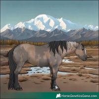 Horse Color:Silver Grullo  and Grullo 
