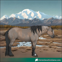 Horse Color:Silver Grullo  and Grullo 