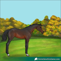Horse Color:Brown 