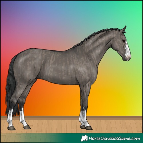 Horse Color:Grullo and Grullo
