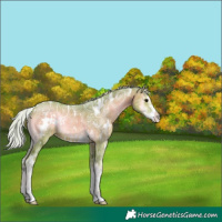 Horse Color:Watercolor White Spotted Silver Blue Onyx Ice Sabino 