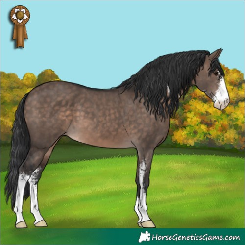 Horse Color:Brown Dun Mushroom Sabino 