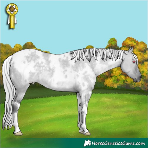 Horse Color:White Spotted Silver Grullo Chinchilla 