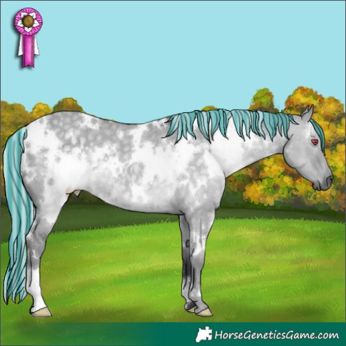 Horse Color:Painted White Spotted Silver Grullo Chinchilla 