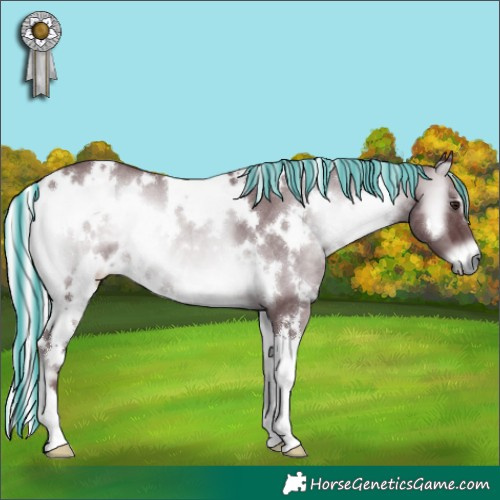 Horse Color:Painted White Spotted Chocolate Silver Blue Onyx Chinchilla 