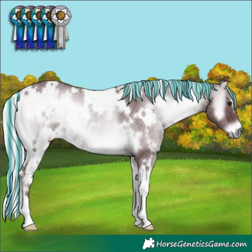 Horse Color:Painted White Spotted Chocolate Silver Blue Onyx Chinchilla 