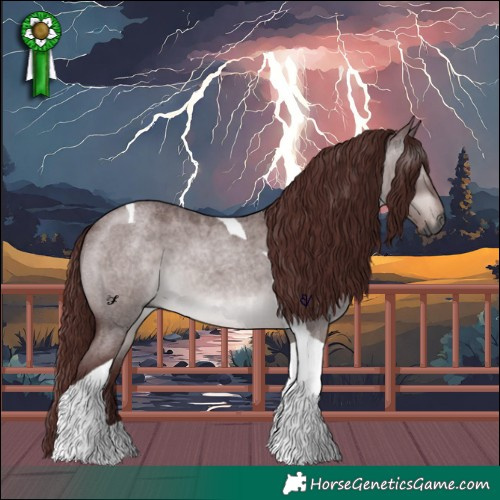 Horse Color:Gray Platinum Chocolate Brown Roan Dun Tobiano 